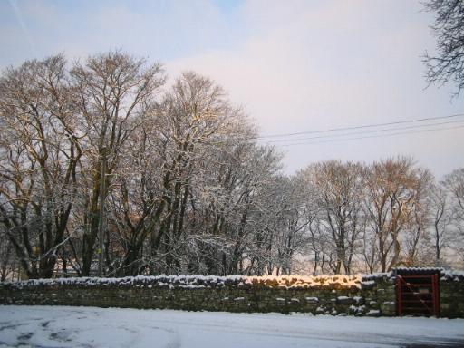 The car park at Cornhills farm